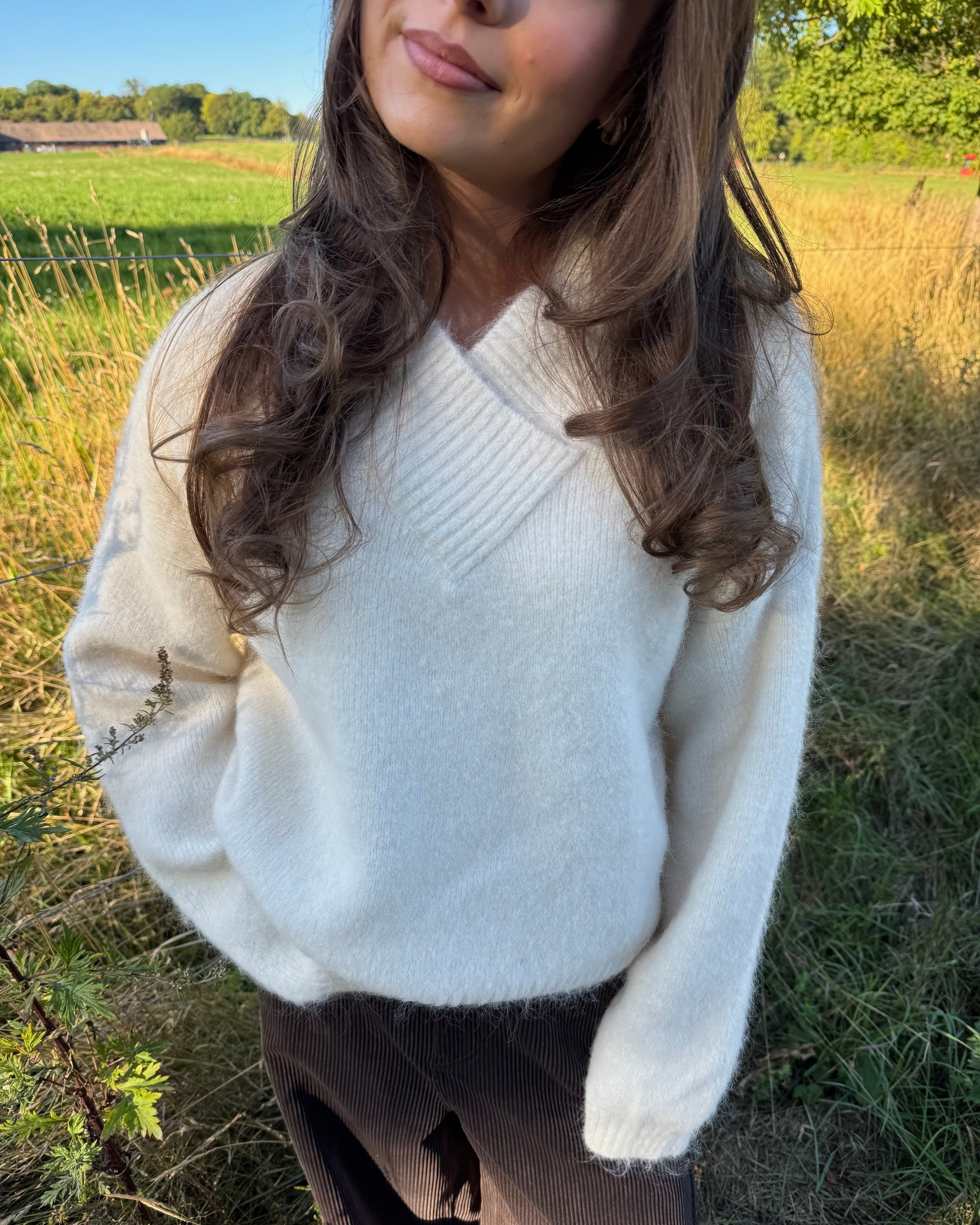 VMLOON Pullover - Birch